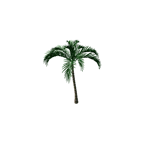 arcea palm pre3
